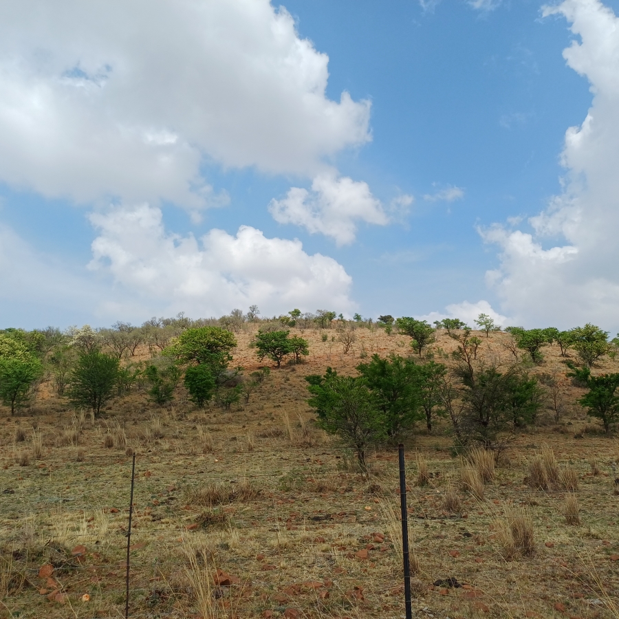 0 Bedroom Property for Sale in Lindequesdrif North West